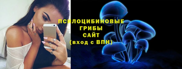 a pvp Аркадак