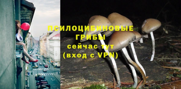 a pvp Аркадак