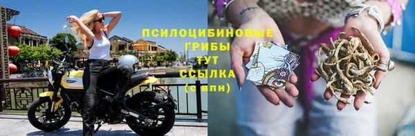 spice Армянск