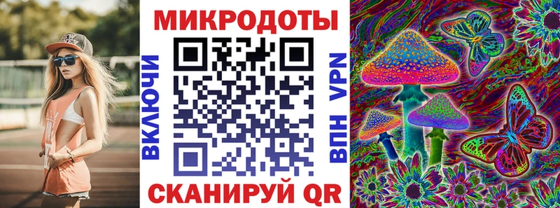 Псилоцибиновые грибы мицелий закладка Константиновск